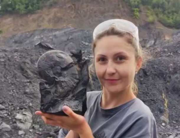 В Артёме палеонтолог-любитель обнаружила древнюю окаменелость