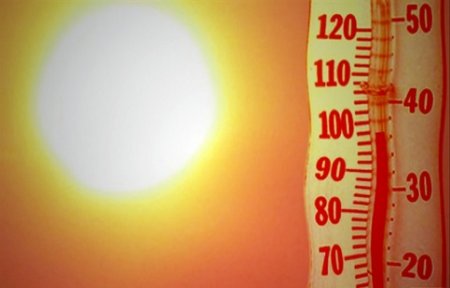 Температуру до 30°C обещают синоптики Приморью в понедельник.