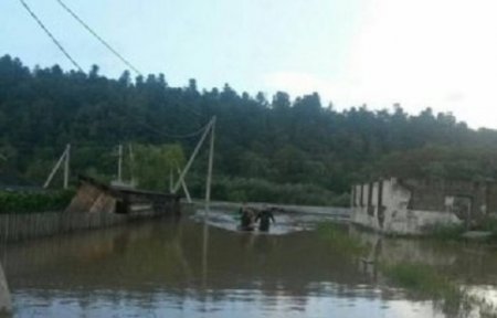 В Чугуевском районе прорвало дамбу и затопило село.