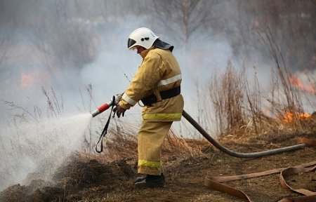 Три лесных пожара ликвидировано за минувшие сутки в Приморье.