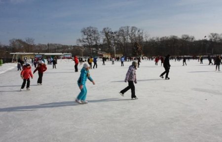 Платить за любимое зимнее развлечение – катание на коньках – артемовцы теперь будут меньше.