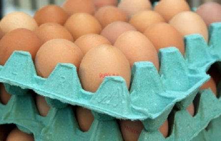 Опасные яйца могут попасть на столы приморцев.