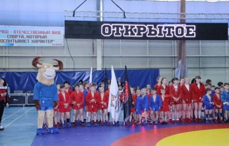 Открытый турнир по самбо прошел в городе Артеме.