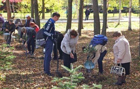 Всероссийская акция «Живи, лес!» в Приморском крае стартовала с Артема.