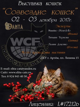 Международная выставка кошек в Артеме 2-3 декабря 2017