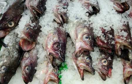 В Артеме пресечена реализация морепродукции сомнительного качества.