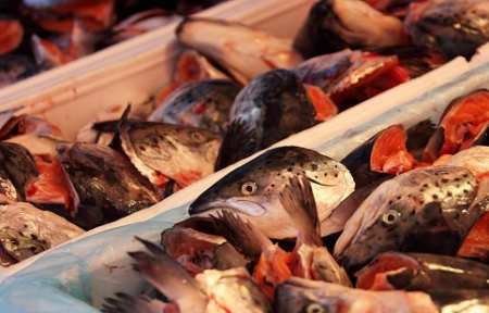 Почти полторы тонны рыбной продукции сожгли в Артеме.