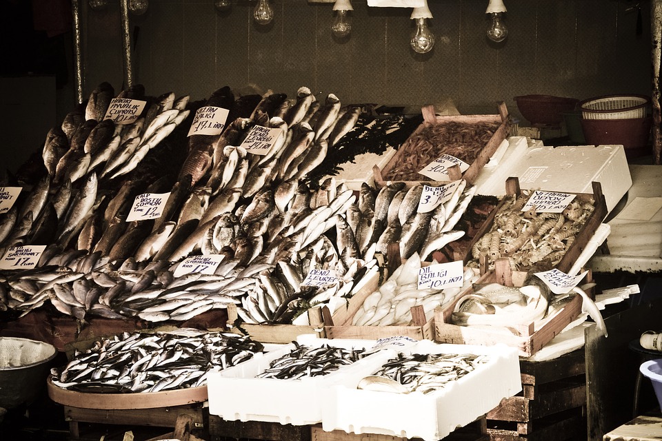 Социальная программа Доступная рыба, где купить и почем рыбка.