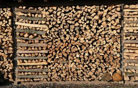 Директор Приморского лесничества уволен из-за проблем с обеспечением населения дровами.