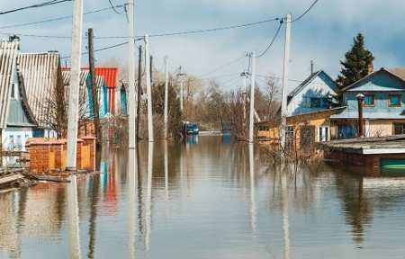 Около 130 домов и больше 460 подворий подтопило в Приморье из-за паводка — режим ЧС объявлен в семи районах края.