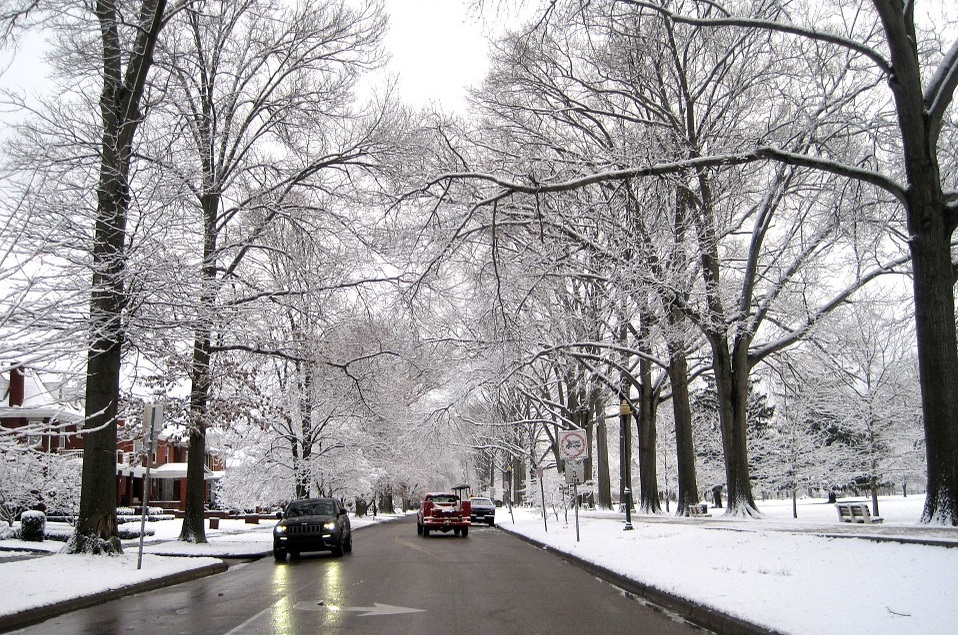 Дождь, переходящий в снег, ожидается в Приморье с 13 на 14 ноября
