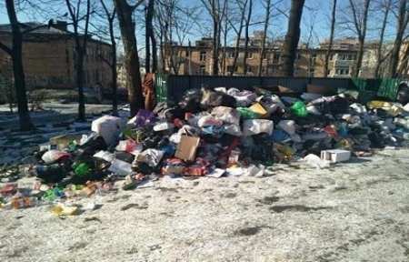 Несправлящиеся с вывозом мусора компании в Приморье будут наказаны.