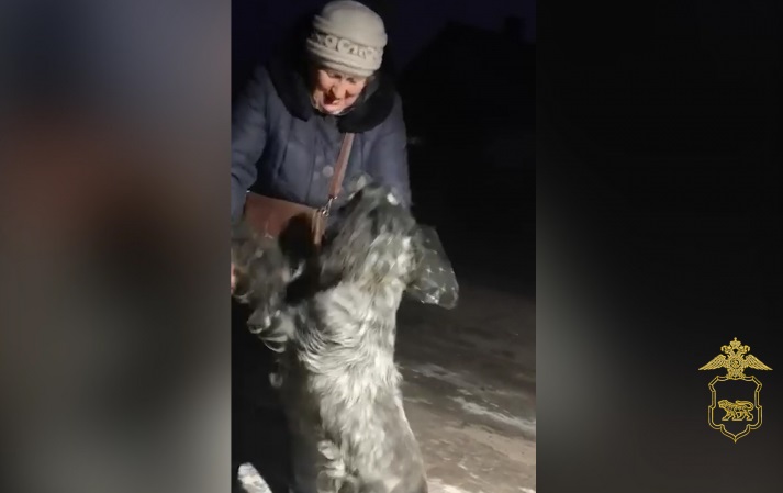 Приморские зоозащитники помогли найти женщине из Артема пропавшую собаку спустя пять лет!