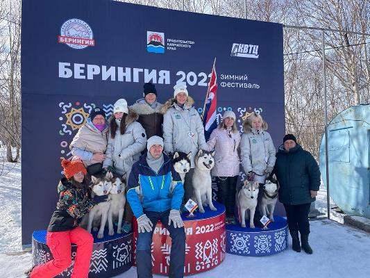 Представители Артемовской и Приморской Федераций ездового спорта приняли участие в гонке на собачьих упряжках.