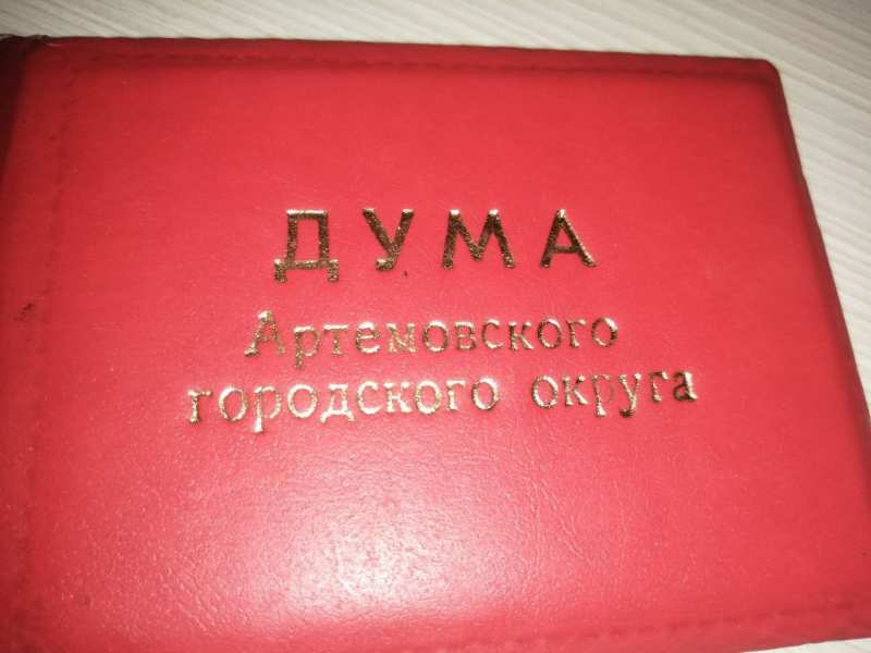 11 сентября, в Артёме состоялись выборы депутатов Думы АГО (25 чел.).
