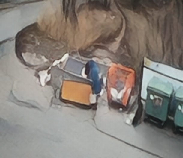 Видеонаблюдение за мусорными площадками устанавливают в Приморье