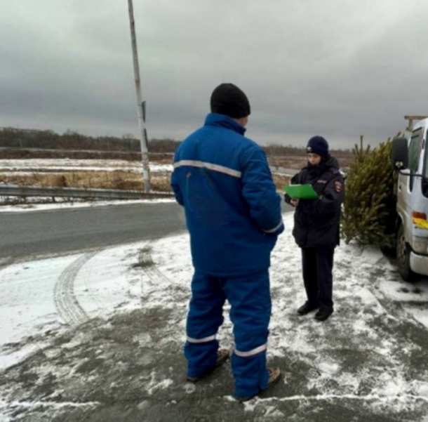 Полицейские Артёма проводят рейды по пресечению фактов торговли ёлками в неположенных для этого местах