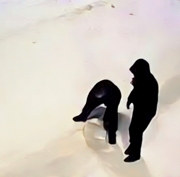 Зимний городок в Артёме страдает от рук хулиганов